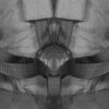 10020962085A_altpic_7
