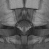 10021412054_altpic_3