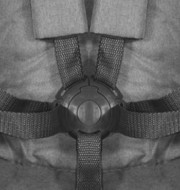 10021412054_altpic_3