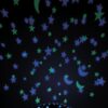 30604_altpic_3